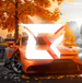 OnyxRO