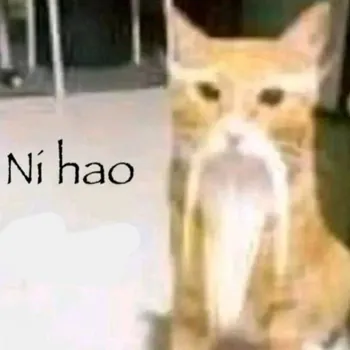 C0ZITO
