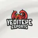 yeditepeesports