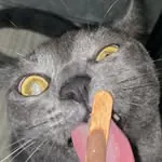 itscemtalking