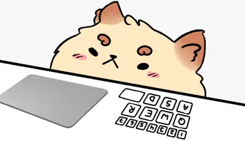 Shunniikk