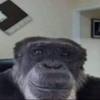 bukz