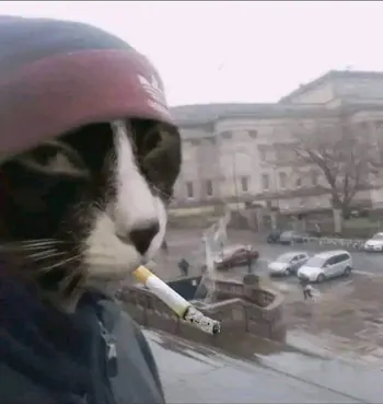 Regginator
