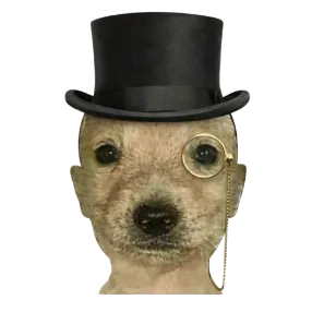 Axel_HPJ