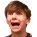 rejiboi