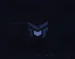 slal_osmk