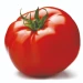 ToMaToSmP