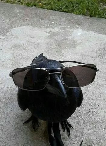 Crowsete
