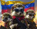 themonkeyvnzla