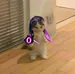 yungdoha