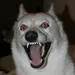 imnot_corpse