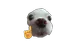 GrandeCicero