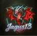 jagus1308
