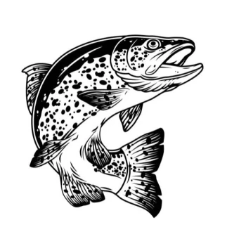 Kick profile picture for @trout