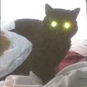 D4NIELPAPU