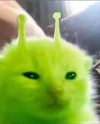 ElAmasha