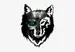 wolfofduty911