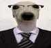 thejaoi