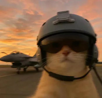 LaserGuidedCat