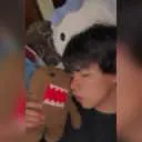 danidomito