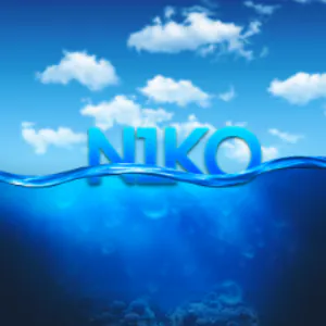 1n1ko