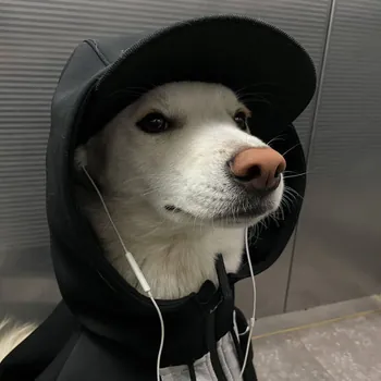 Dracoxxo777