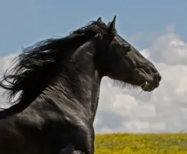 typhoon2245