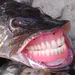 Stewish