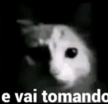 cruzzzao