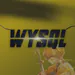 wysql