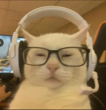 Catzadas