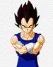 Vegeta_1010