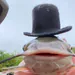 g8d7