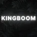 Kingboom99