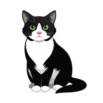 MISHI542