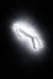 Lorenzoow