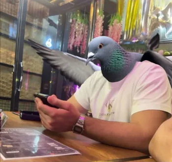DekolesS