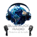 bluerock_2025