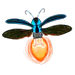 Lightbug