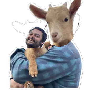 kikofras