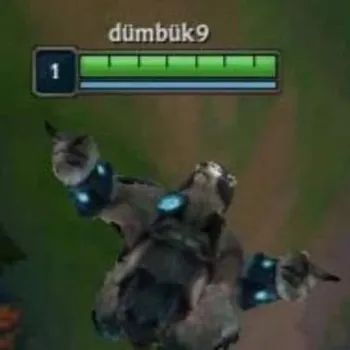 dumbuk9191
