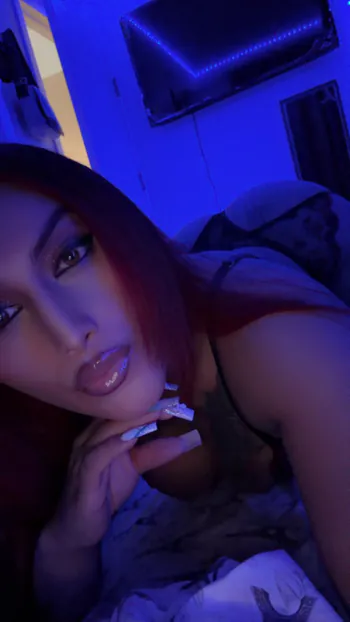 Bella_Trans