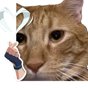 Kick profile picture for @tapioca