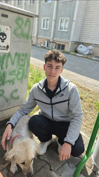 Metehan8188