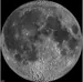 MuteMoon544_RainBet23