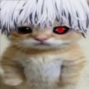 Sa1r1m