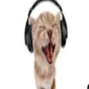 jdizzydarg