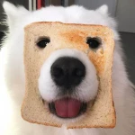 devuu avatar