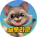 iam_raccoon