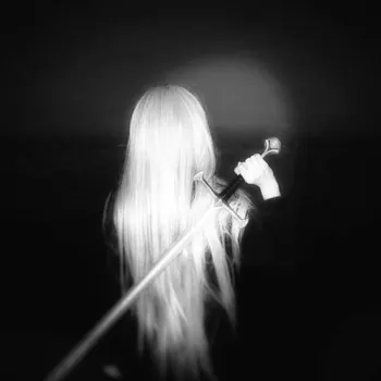 Void_Larkoxy